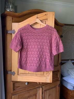 RW&CO Terra Cotta Pink Crochet Knit Short Sleeve Crop Sweater